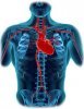 Cardio Images